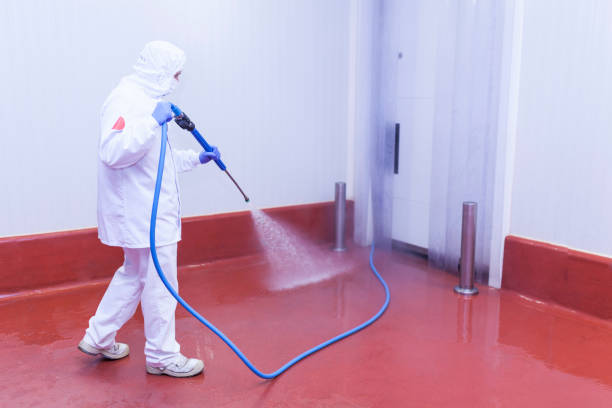 Best Warehouse Cleaning  in Sebewaing, MI
