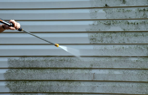 Best Patio and Deck Pressure Washing  in Sebewaing, MI