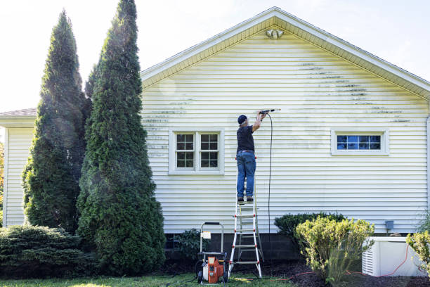 Professional Pressure Washing in Sebewaing, MI