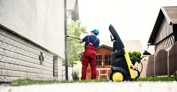 Best Roof Washing  in Sebewaing, MI